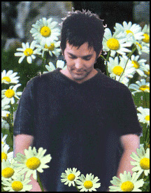 In open fields of wildflowers ...