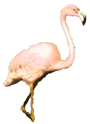 I stand here waiting