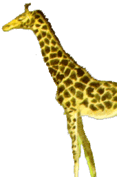 I can't see the view from the eyes you look at me through