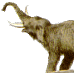 Smile on the outside